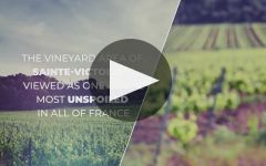 Chateau Gassier Winery Video