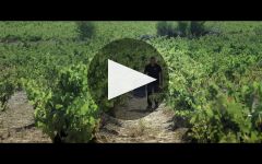 La Rioja Alta Gran Reserva 890 Tinto 2010 | Wine.com La Rioja Alta Gran Reserva 890 Tinto 2010 | Wine.com