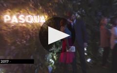 Pasqua WE | 2023 Innovator of the Year Winery Video