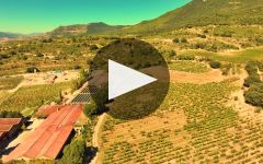 Remelluri  Winery Video