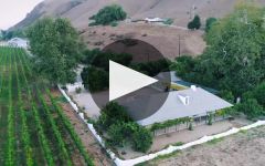 Bien Nacido Estate  Winery Video