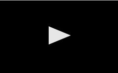 Tolaini Tolaini Winery Video