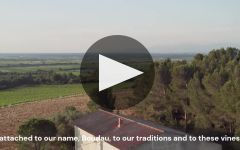 Clot del Pila Boudau Family Domaine in Roussillon Winery Video