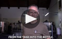 9 di Dante 9 di Dante: Sinful Vermouth Winery Video