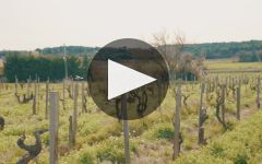 Clos Du Caillou Clos du Caillou Winery Video