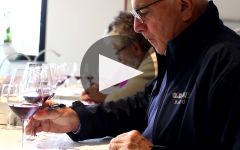 G.D. Vajra Winery Video