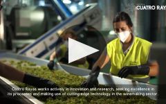 Cantarranas Bodega Cuatro Rayas Winery Video