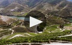 Quinta do Crasto Winery Video