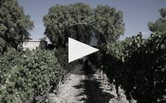 Chateau Pesquie Winery Video