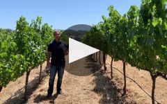 Band of Vintners Winery Video