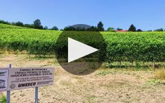 Tenute Neirano  Winery Video