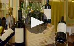 Prats & Symington Prats & Symington Winery Video