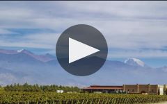 Andeluna  Winery Video