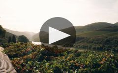 Graham's Graham's Winery Video