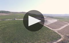 Bodegas Beronia New 100% Sustainable Winery Winery Video