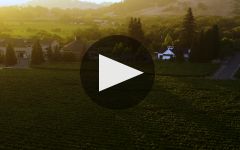 Paraduxx Paraduxx Winery Video