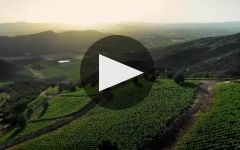 Terra Vega From Fruit to Bottle Winery Video