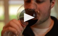 Luciano Sandrone Winery Video