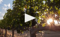 EnRoute Winery Winery Video
