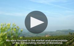 Vins el Cep Winery Video
