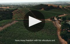L'Aventure Estate Cuvee 2014 | Wine.com