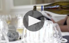 Simonnet-Febvre Winery Video