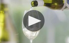 Yealands Winery Video