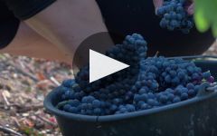 Charles Heidsieck Winery Video