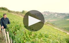 Henri Bourgeois Winery Video