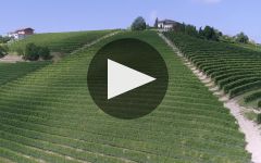 Bruna Grimaldi Winery Video