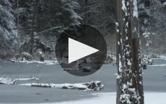 Woodinville Whiskey Co. Winery Video