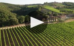 Il Molino di Grace  Winery Video