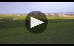 Veuve Clicquot Learn More About Veuve Cliquot Winery Video