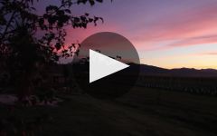 Clos Henri Winery Video
