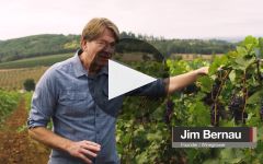 Willamette Valley Vineyards Winery Video