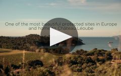 Chateau Leoube Winery Video