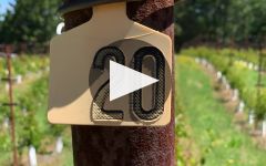 Keenan Keenan Winery Winery Video