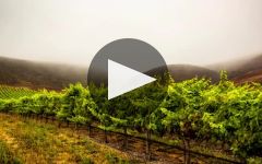 Laetitia Vineyards & Winery Laetitia Vineyard & Winery Winery Video