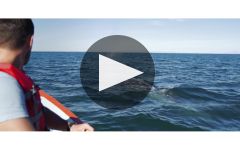 Gray Whale Winery Video