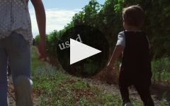 Te Pa Wines Winery Video