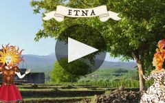 Donnafugata The Art of Donnafugata Winery Video
