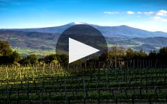 Mastrojanni  Winery Video