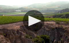 The Hilt  Learn More About The Hilt Estate Winery Video