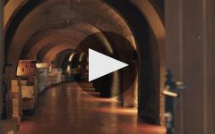 Condado de Haza  Winery Video