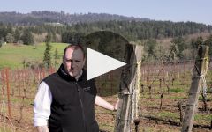 J. Christopher Winery Video