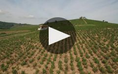Domaine Gilles Coperet Domaine Gilles Coperet Winery Video