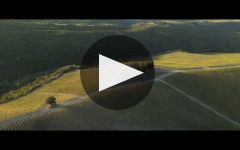 Castiglion del Bosco Winery Video