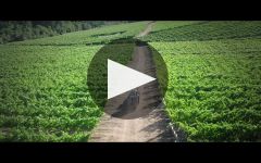 Lagar de Fornelos Lagar de Cervera Winery Video