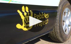 Lubanzi  Winery Video