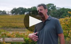 Hickinbotham Winery Video